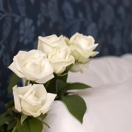 The Zillers Boutique Hotel 4*
