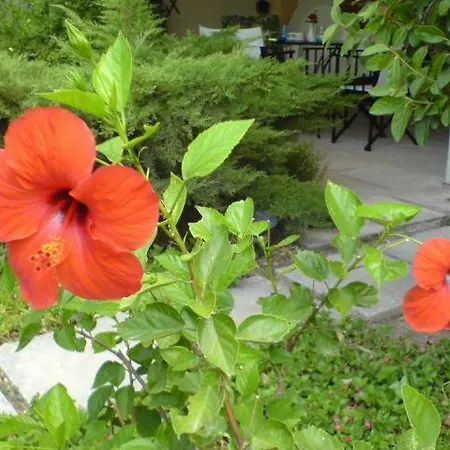 Apartment Comfortable Garden Near Vouliagmeni *