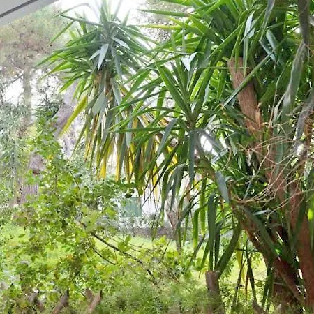 Vouliagmeni's Secret Garden Near The Sea Apartment