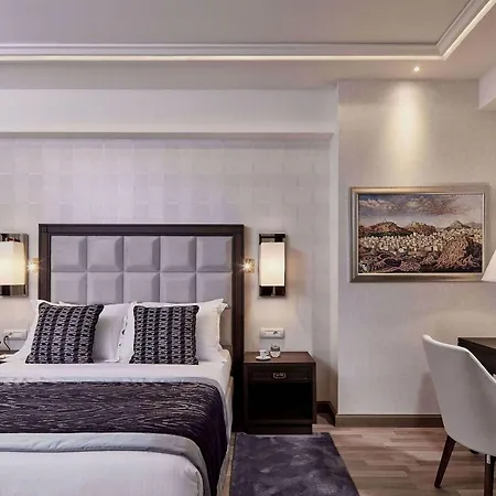 Electra Metropolis 5*