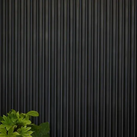 Mandra Living-kolonaki