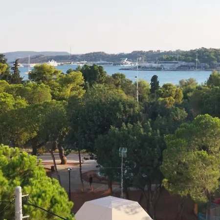 View In The Bay!