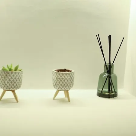 Appartamento Modern And Luxury *