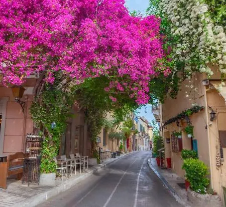 The Acropolis House Of Flowers~private Roof Garden