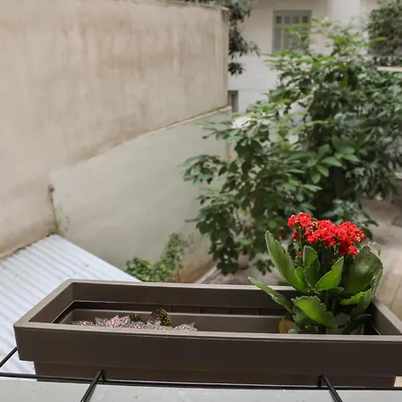 Athens' Heart Apartment