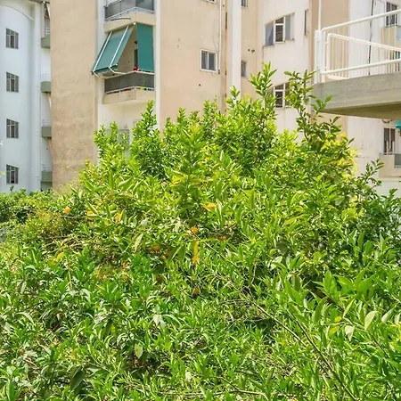 Apartment Alimos Sun-filled