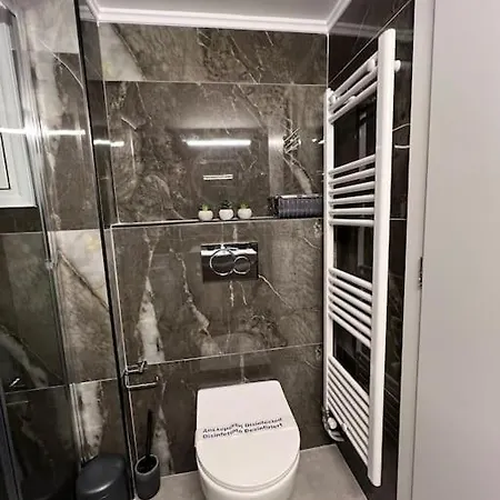 Luxury Near Acropolis Apartment