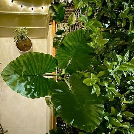 Athenian Coastal Urban Living Appartement