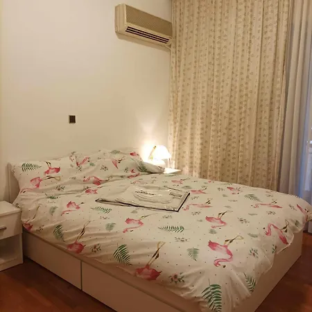 Spacious Double In The Center Of ホームステイ
