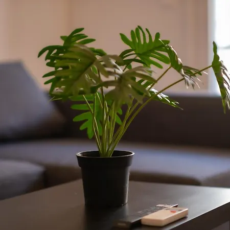 休闲优雅的简洁公寓 Appartement Athènes