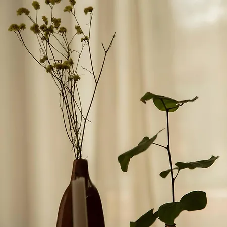 Apartment Stylish Cozy Artistic