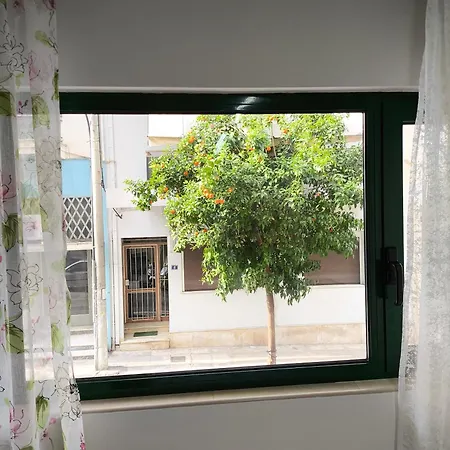 Green Home Αθήνα