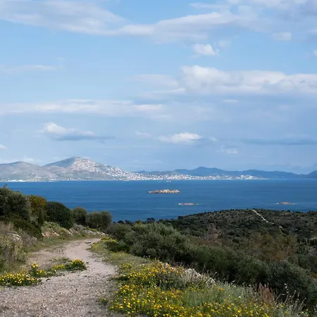 Apartment Vouliagmeni Square *