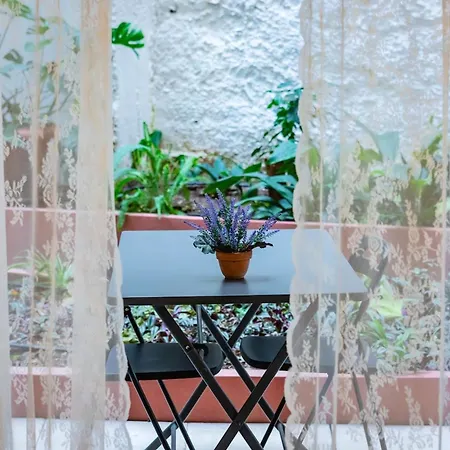 Quiet With A Garden At Exarcheia *