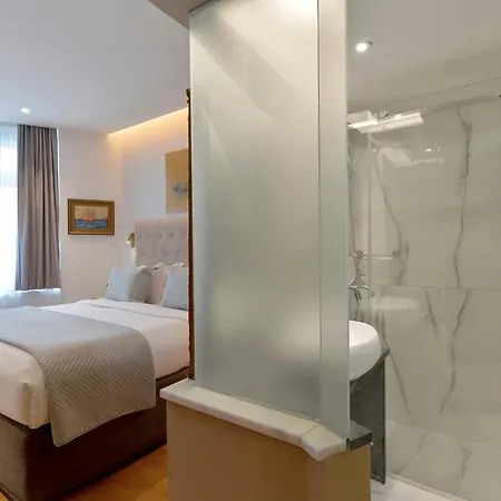 Acropolian Spirit Boutique Hotel Atenas