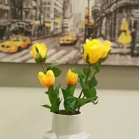Apartment 'golden Aurora' With Elegant Style *