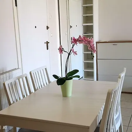 Appartement John's